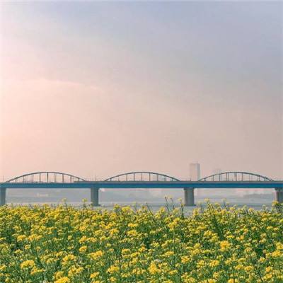 次元召唤师果盘版下载